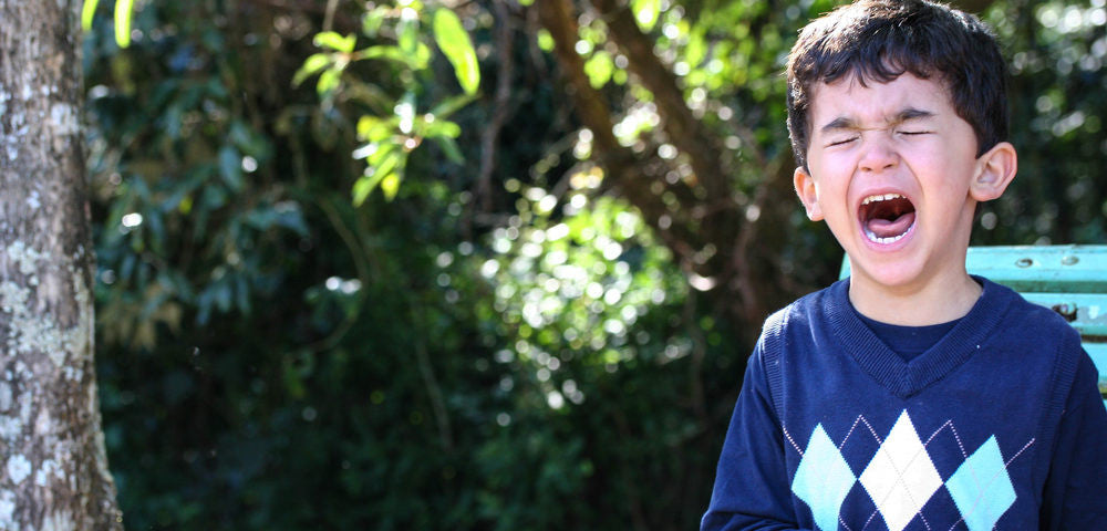 Strategies for Dealing with a Public Toddler Meltdown